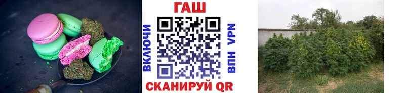 Cannafood конопля  Рыбное 