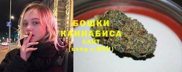 ГАЛЛЮЦИНОГЕННЫЕ ГРИБЫ Аркадак