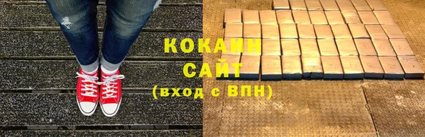 ГАЛЛЮЦИНОГЕННЫЕ ГРИБЫ Аркадак
