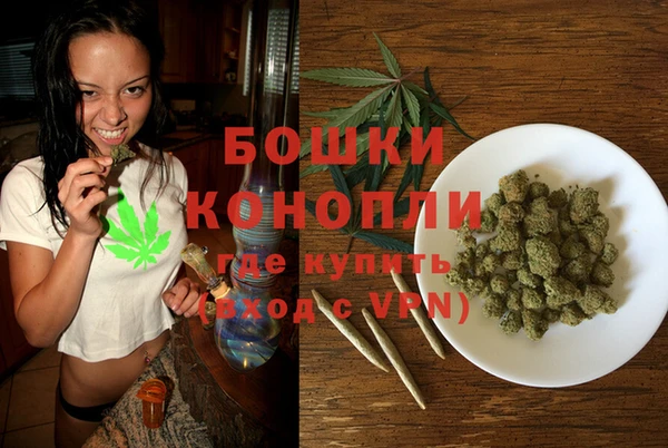 ГАЛЛЮЦИНОГЕННЫЕ ГРИБЫ Аркадак